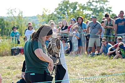 Great Horned Owl at Raptor Release Editorial Stock Photo